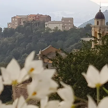 U Scogliu Escale De Reve Отель типа 