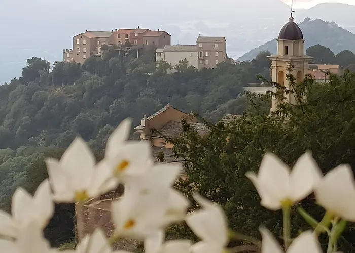 U Scogliu Escale De Reve Bed & Breakfast 3*